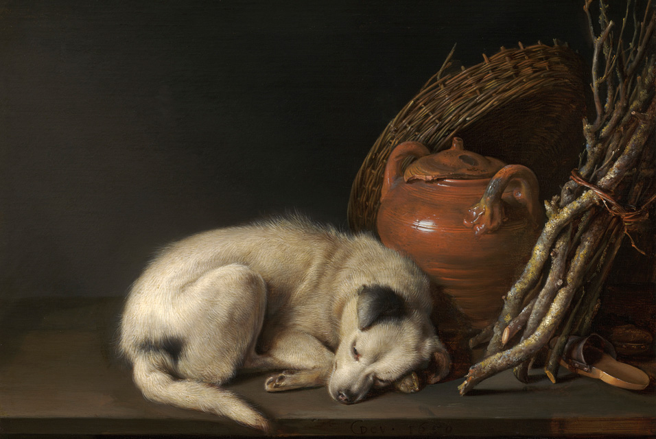 Gerrit Dou’s Dog – Jeffrey Hayes