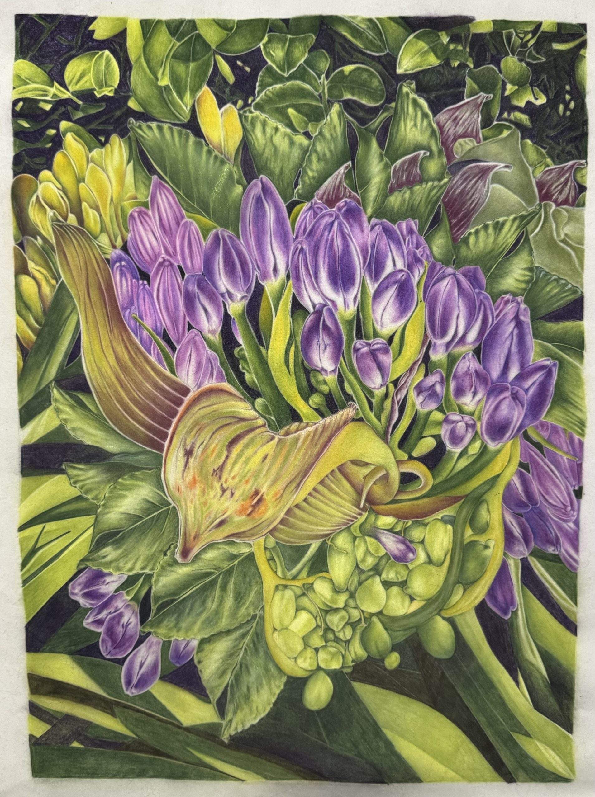 "Lily of the Nile"
Colored pencil on velour paper, 60cm x 80cm.